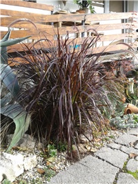 c01c2c59-2016-10-09 09.34.54.jpg